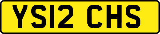 YS12CHS