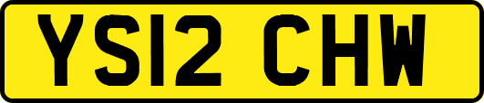 YS12CHW