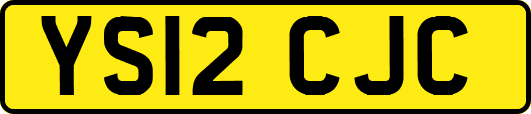 YS12CJC