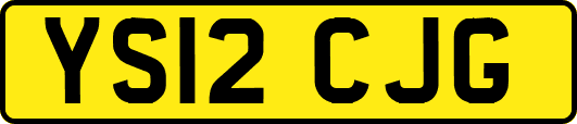 YS12CJG