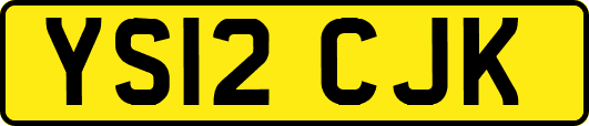 YS12CJK