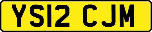 YS12CJM