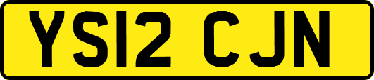 YS12CJN