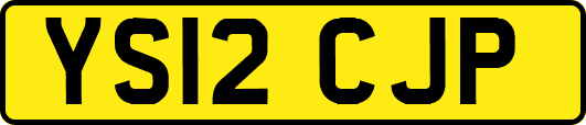 YS12CJP
