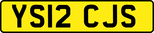 YS12CJS