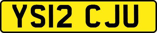 YS12CJU