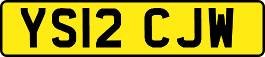 YS12CJW
