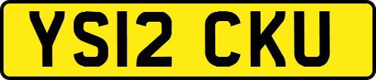 YS12CKU