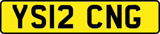 YS12CNG
