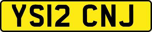 YS12CNJ