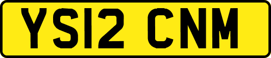 YS12CNM