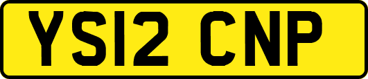 YS12CNP