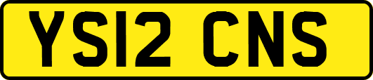 YS12CNS