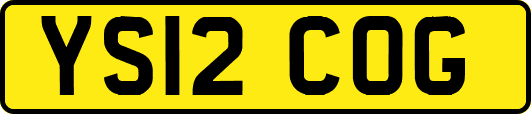 YS12COG