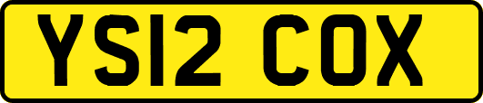 YS12COX