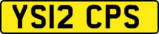 YS12CPS