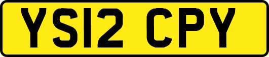 YS12CPY