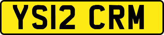 YS12CRM