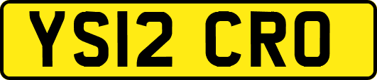 YS12CRO