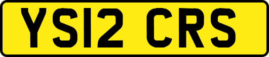 YS12CRS
