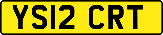 YS12CRT