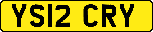 YS12CRY