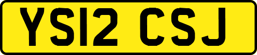 YS12CSJ