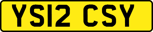 YS12CSY