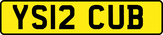 YS12CUB