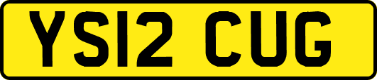 YS12CUG