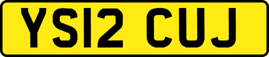 YS12CUJ