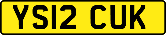 YS12CUK