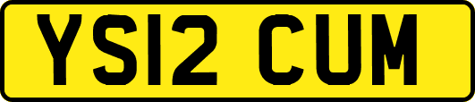 YS12CUM