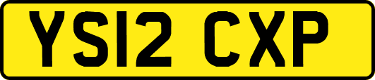 YS12CXP