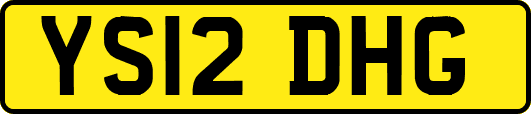 YS12DHG