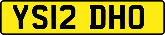 YS12DHO