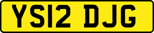 YS12DJG