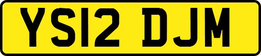 YS12DJM
