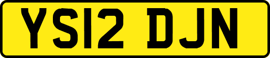 YS12DJN
