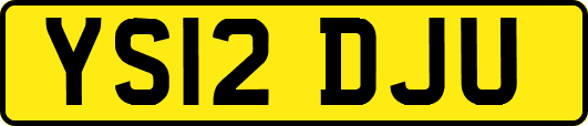 YS12DJU