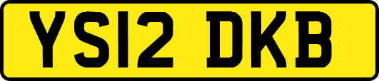 YS12DKB