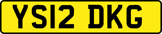YS12DKG