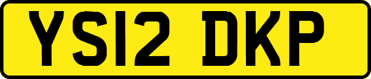 YS12DKP