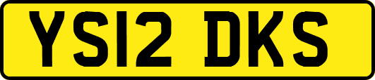 YS12DKS