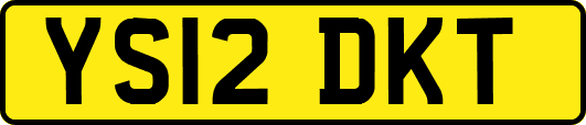 YS12DKT