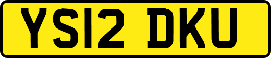 YS12DKU