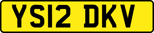 YS12DKV