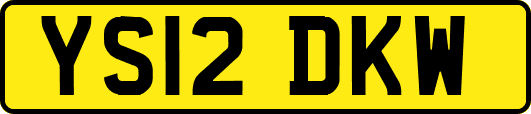 YS12DKW
