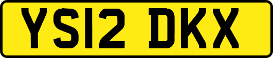 YS12DKX