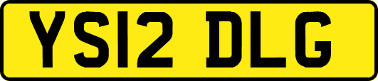 YS12DLG